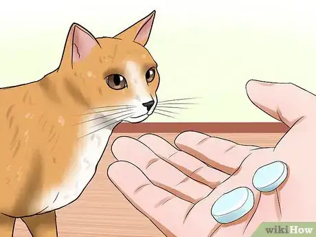 Image titled Prepare Your Cat for a New Baby Step 21