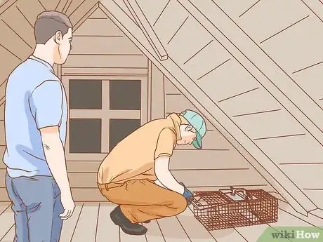 Image titled Prevent a Rat Infestation Step 14