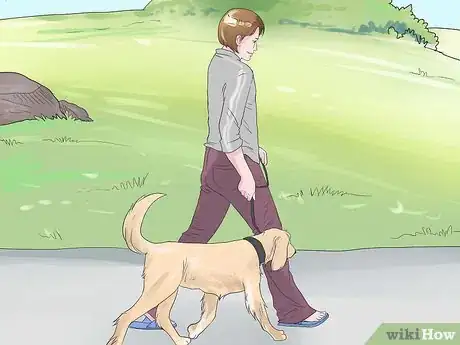 Image titled Cure Prostate Cancer Step 2