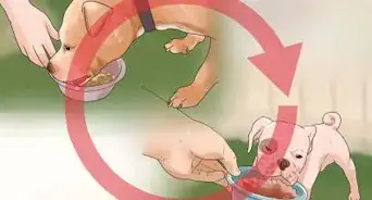 Tell if a Dog Is Getting Food Aggression