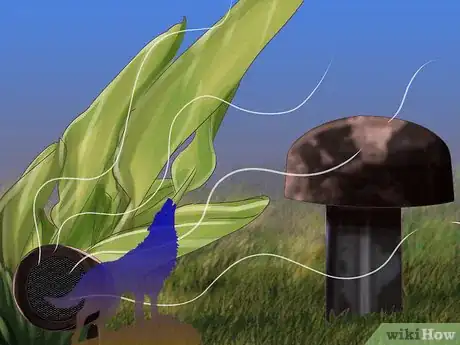 Image titled Keep Birds from Nesting Step 7