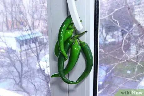Image titled Store Peppers Step 9