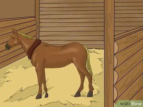 Image titled Prepare Horses for a Hurricane Step 17