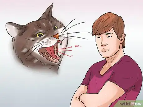 Image titled Help Your Cat Enjoy Having a Bath Step 14