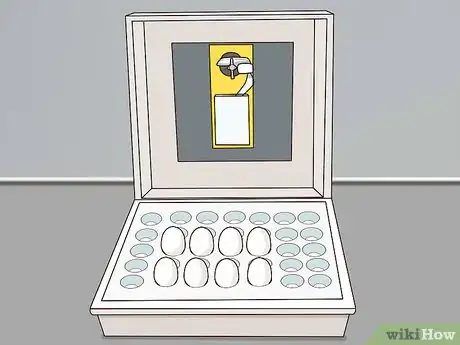 Image titled Keep Geese Step 1