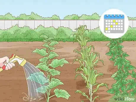 Image titled Grow a Summer Garden Step 7