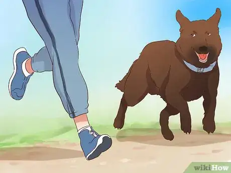 Image titled Exercise With Your Dog Step 20