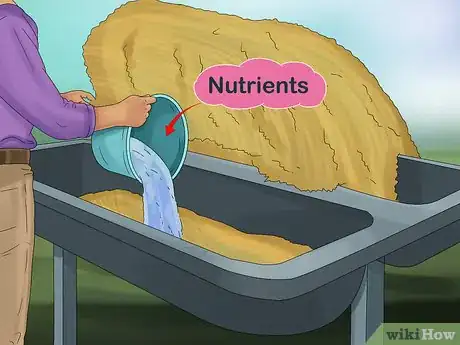 Image titled Give Your Horse the Right Supplements Step 4
