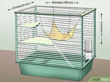 Image titled Raise Ferrets Together Step 12