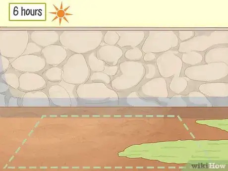 Image titled Grow Feverfew Step 4