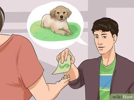 Image titled Buy a Labrador Retriever Puppy Step 13