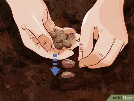 Image titled Make Cinnamon Step 5