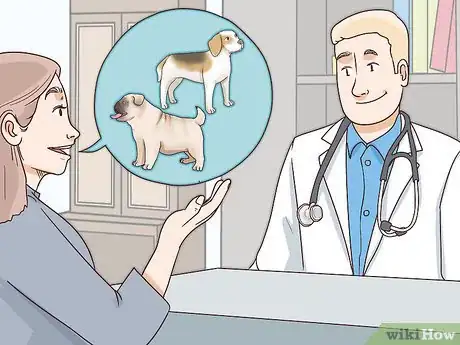 Image titled Choose a Small Dog Step 11
