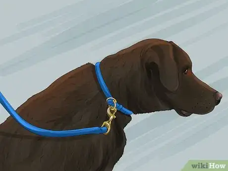 Image titled Return a Stray Dog to Its Owner Step 7