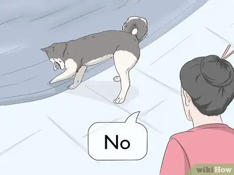 Image titled Keep Dogs Off of a Pool Cover Step 4