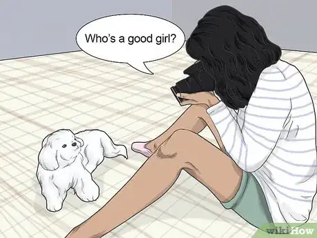 Image titled Photograph Pets Step 14