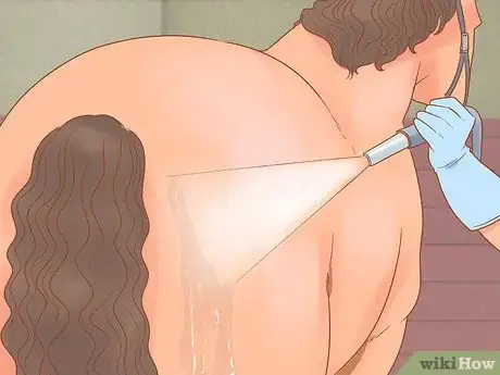 Image titled Groom a Horse for a Show Step 8