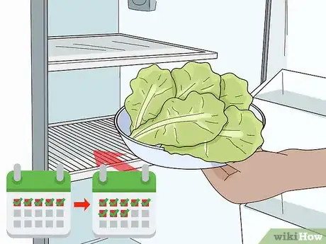 Image titled Grow Lettuce Indoors Step 14