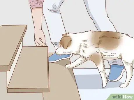 Image titled Help a Dog Overcome Its Fear of Stairs Step 5