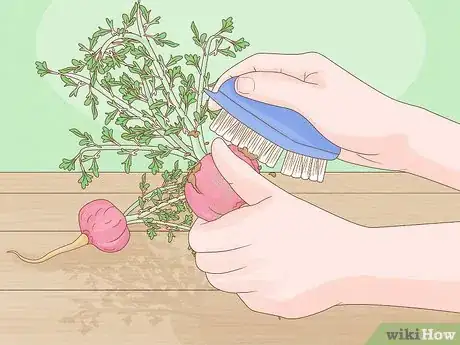 Image titled Grow Maca Step 17