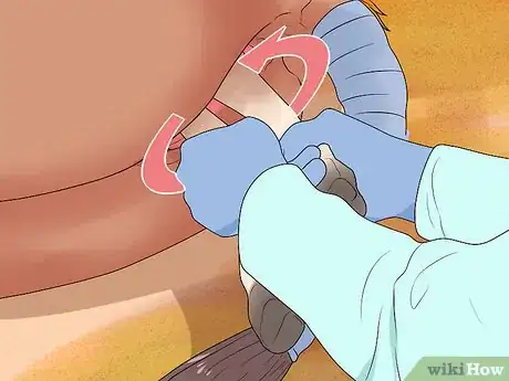 Image titled Prepare a Mare for Foaling Step 14