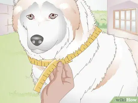 Image titled Find the Right Collar for Your Dog Step 2