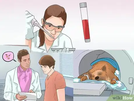 Image titled Diagnose Epilepsy in German Shepherds Step 16