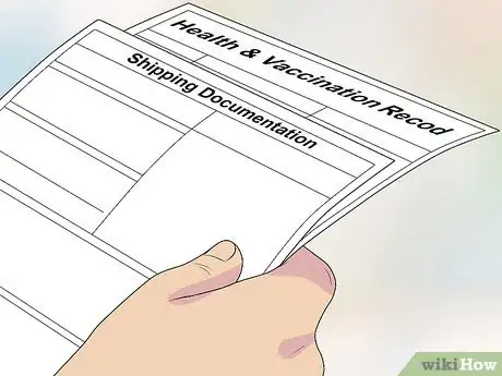 Image titled Fly Internationally With a Dog Step 20