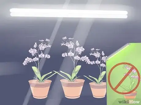 Image titled Care for Mini Orchids Step 18