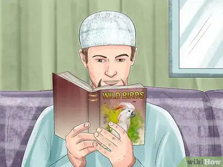 Image titled Live With a Moluccan Cockatoo Step 2