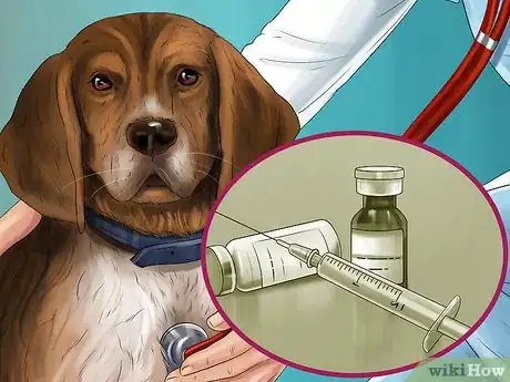 Image titled Adopt Out a Shy Dog Step 2