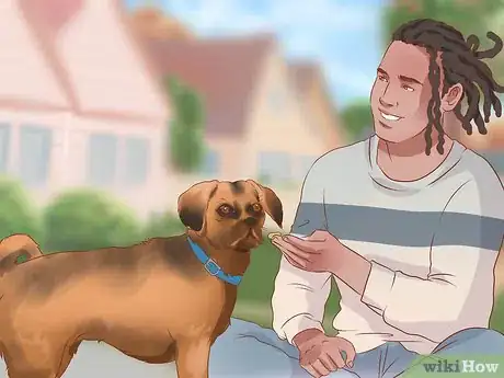 Image titled Train Puggles Step 3