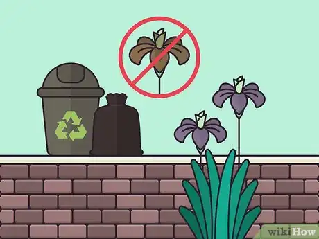 Image titled Store Iris Bulbs Step 16