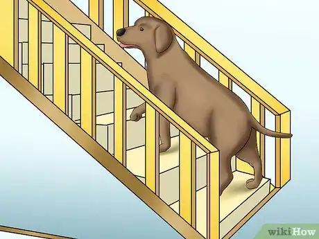 Image titled Train Teenager Stage Dogs Step 15