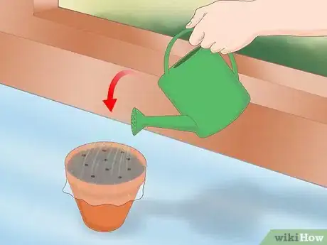 Image titled Plant a Lemon Seed Step 10