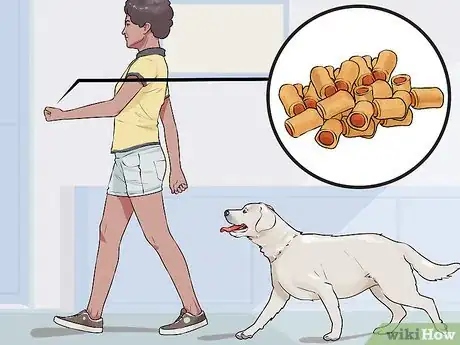 Image titled Get Your Dog to Follow You Step 1