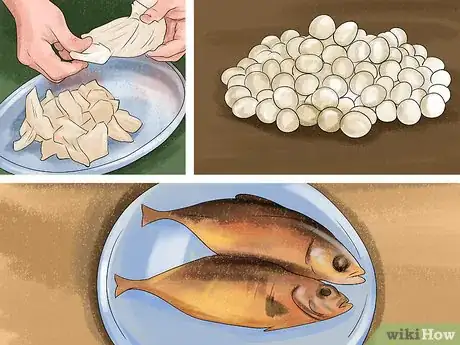 Image titled Choose Food for your Border Collie Step 8