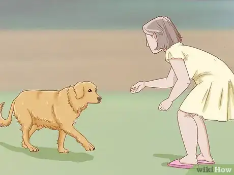 Image titled Train a Golden Retriever Step 8