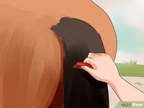 Image titled Apply a Horse Tail Bandage Step 9