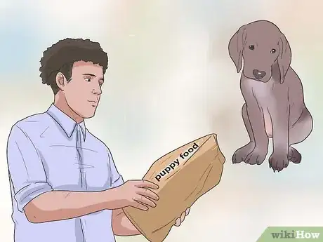 Image titled Care for German Shorthaired Pointers Step 2
