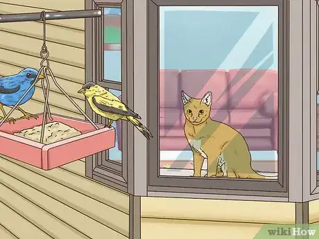 Image titled Protect Small Yard Animals from Cats Step 7