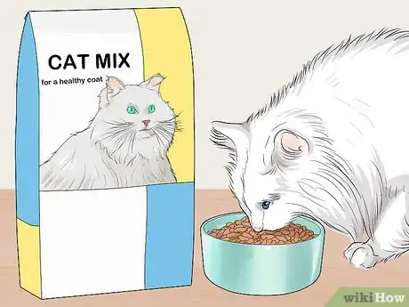 Image titled Raise Angora Cats Step 8