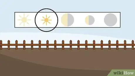 Image titled Care for a Midnight Blue Rose Bush Step 2