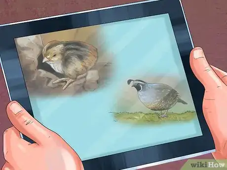 Image titled Sell Quail Step 9