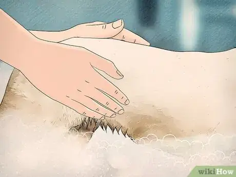 Image titled Live With Allergies to Dust Mites Step 11