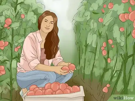 Image titled Volunteer on an Organic Farm Step 13