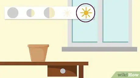 Image titled Grow Adeniums Step 3