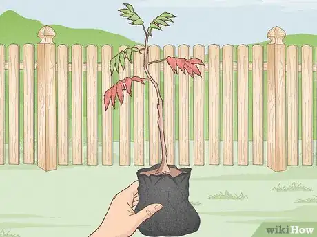 Image titled Plant Trees Near a Home without Damaging Your Foundation Step 3