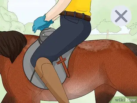 Image titled Prevent Rain Rot in Horses Step 9