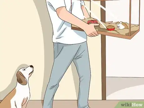 Image titled Keep a Gerbil Safe Around Other Pets Step 4